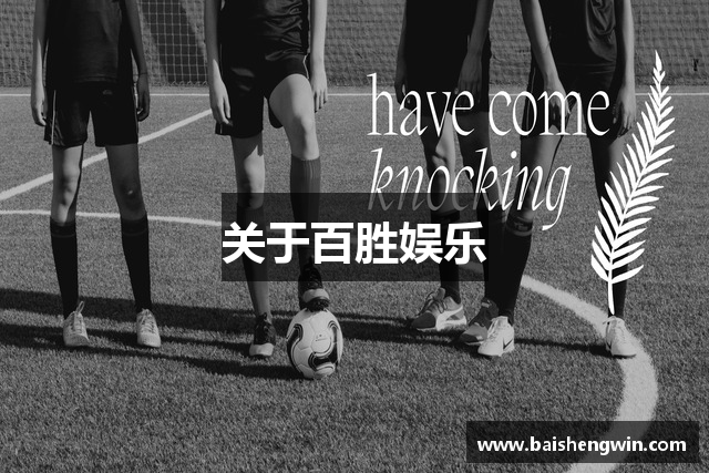 关于百胜娱乐
